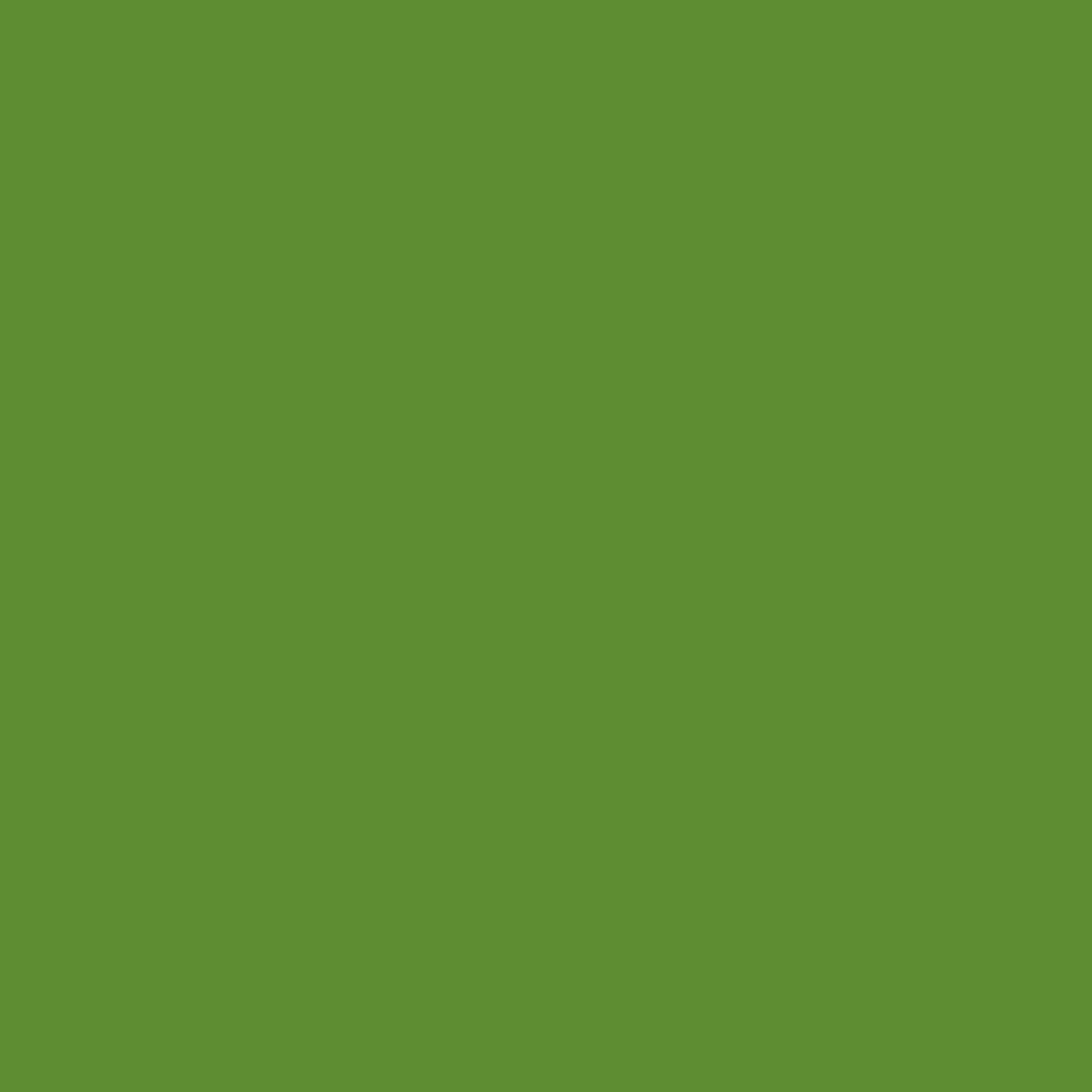 Maximum-green-background-image.webp